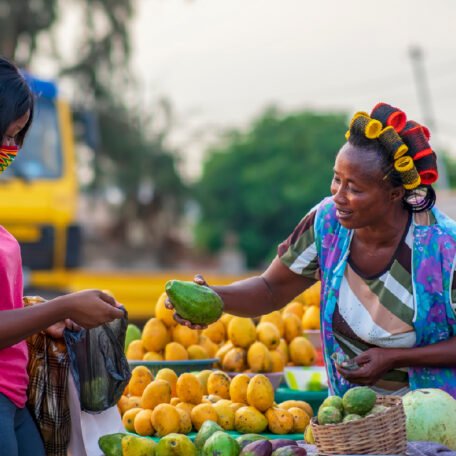 Transforming-African-Food-Systems-Strategies-for-Sustainability-and-Climate-Resilience