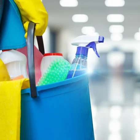 66d1b237781950cd5d89fc34_history-of-housecleaning-and-maid-services