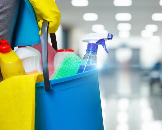 66d1b237781950cd5d89fc34_history-of-housecleaning-and-maid-services