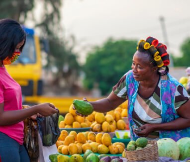 Transforming-African-Food-Systems-Strategies-for-Sustainability-and-Climate-Resilience